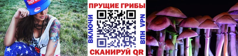 Псилоцибиновые грибы GOLDEN TEACHER  Алатырь 