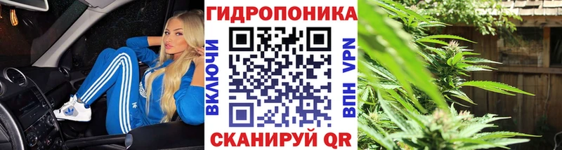 Конопля конопля Алатырь